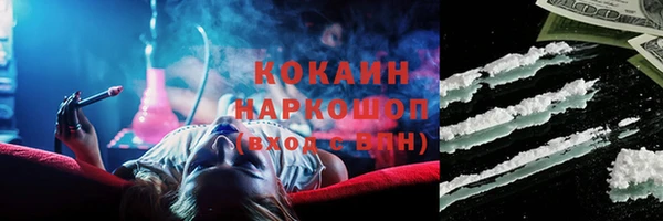 соль ск Няндома