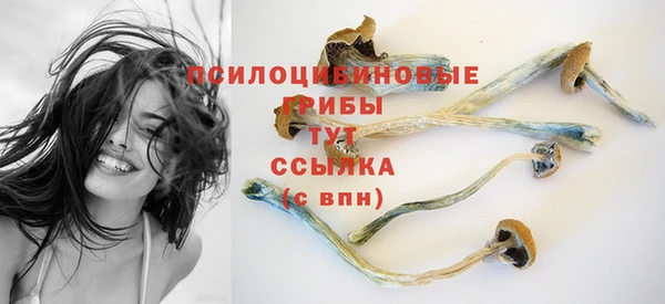 MESCALINE Нязепетровск