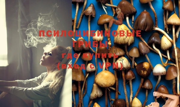 гашик Осинники
