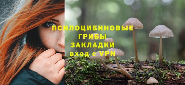 СК Нягань