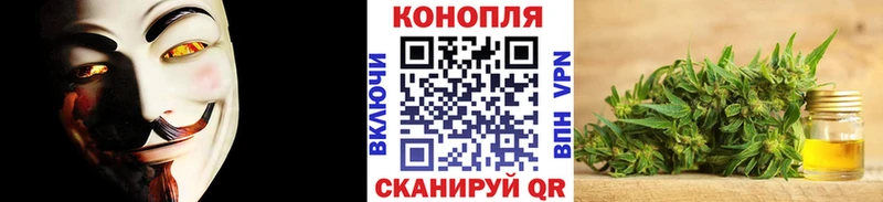 Бошки Шишки VHQ Рыльск